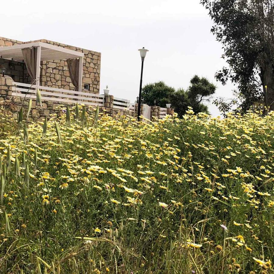 Villa Aegean View Lindos-Pefkoi Pefki  Exterior photo